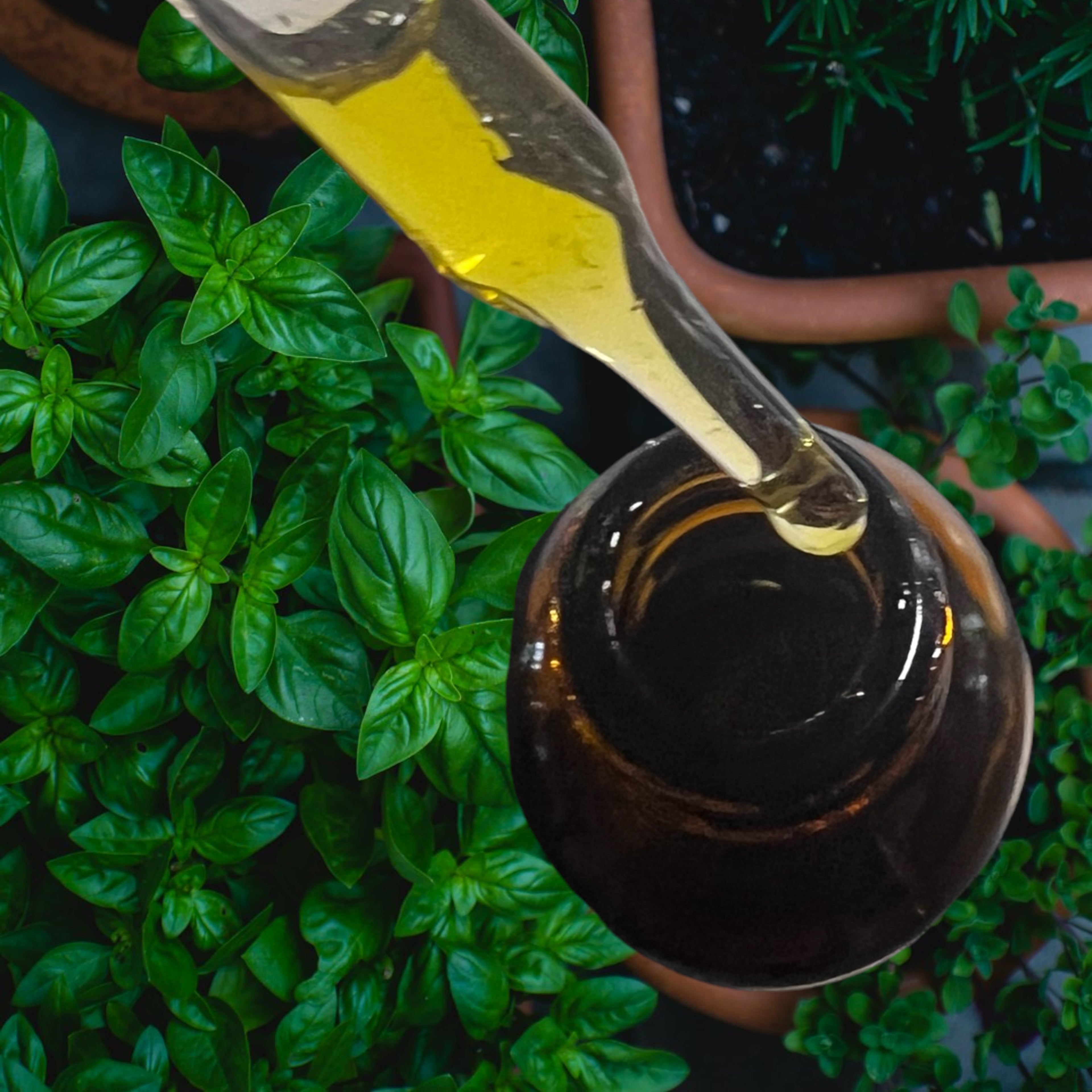 Rosemary Hair & Scalp Serum